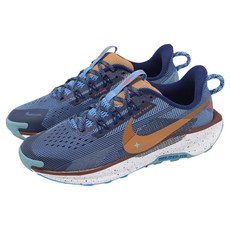 NIKE 耐吉 Pegasus Trail 5 GS 越野跑鞋 兒童 FV5638-400 US6Y