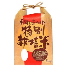 Well Life 悅生活 100%日本直送 谷穗 特A級長野縣爆Q松阪越光米, 2kg, 1個, 頂級