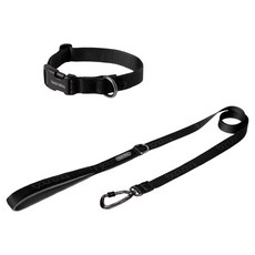 분독 강아지 오리지널 리쉬 리드줄 1.4m + 오리지널 목줄 세트, 올블랙, 1세트