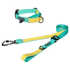 분독 강아지 플레이리쉬 롱리드줄 3.2m + 마틴게일 오리지널 목줄 세트, 민트레몬, 1세트