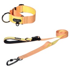 분독 강아지 플레이리쉬 롱리드줄 2m + 마틴게일 와이드 목줄 세트, 피치, 1세트