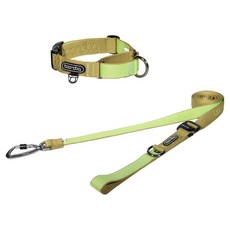 분독 강아지 플레이리쉬 롱리드줄 2.5m + 마틴게일 오리지널 목줄 세트, 키위, 1세트