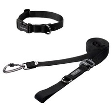 분독 강아지 플레이리쉬 롱리드줄 2.5m + 오리지널 목줄 세트, 올블랙, 1세트