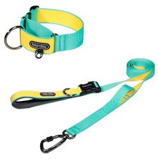 분독 강아지 플레이리쉬 롱리드줄 2m + 마틴게일 와이드 목줄 세트, 민트레몬, 1세트