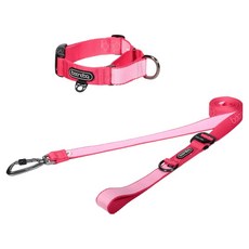 분독 강아지 플레이리쉬 롱리드줄 2.5m + 마틴게일 오리지널 목줄 세트, 스트로베리, 1세트