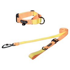 분독 강아지 플레이리쉬 롱리드줄 3.2m + 마틴게일 오리지널 목줄 세트, 피치, 1세트