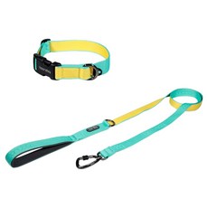 분독 강아지 오리지널 리쉬 리드줄 1.4m + 오리지널 목줄 세트, 민트레몬, 1세트