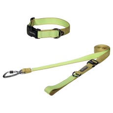 분독 강아지 플레이리쉬 롱리드줄 3.2m + 오리지널 목줄 세트, 키위, 1세트
