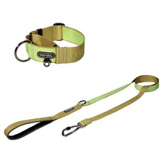 분독 강아지 오리지널 리쉬 리드줄 1.4m + 마틴게일 와이드 목줄 세트, 키위, 1세트