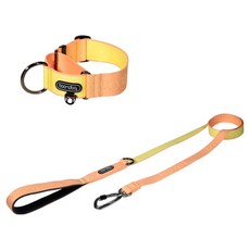 분독 강아지 오리지널 리쉬 리드줄 1.4m + 마틴게일 와이드 목줄 세트, 피치, 1세트