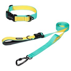 분독 강아지 플레이리쉬 롱리드줄 2m + 오리지널 목줄 세트, 민트레몬, 1세트