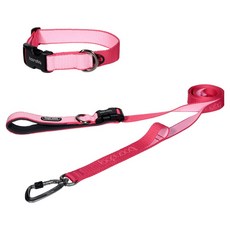 분독 강아지 플레이리쉬 롱리드줄 2m + 오리지널 목줄 세트, 스트로베리, 1세트