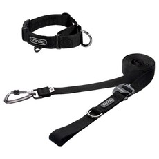 분독 강아지 플레이리쉬 롱리드줄 3.2m + 마틴게일 오리지널 목줄 세트, 올블랙, 1세트