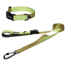 분독 강아지 플레이리쉬 롱리드줄 2m + 오리지널 목줄 세트, 키위, 1세트