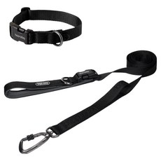 분독 강아지 플레이리쉬 롱리드줄 2m + 오리지널 목줄 세트, 올블랙, 1세트