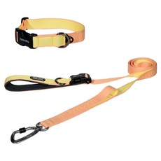 분독 강아지 플레이리쉬 롱리드줄 2m + 오리지널 목줄 세트, 피치, 1세트