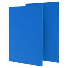 OON 포맥스판 파랑 1T, 2개