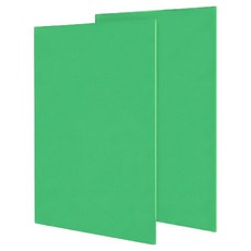 OON 포맥스판 초록 1T, 2개