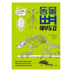 Deosup 動物骨骼解剖圖鑑, 森口滿