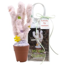 ARTNISM 毛根娃娃伴侶植物製作DIY套組, 梅莉亞, 1套