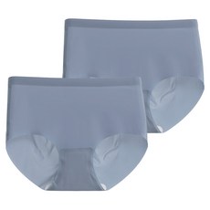 DeParee 蒂巴蕾 無痕冰絲植物系桑蠶絲抗菌內褲2件組 Waist pus 包覆式, 鴿子藍