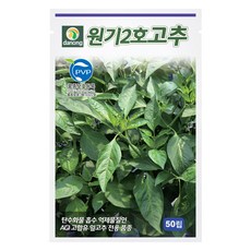 다농 원기2호 고추 씨앗 50p, 1개