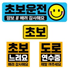 제제데코 초보운전 고휘도 반사 리무버블스티커 탈부착 자석 차량스티커 BIG초보용 4종 세트 008, 혼합색상, 1세트