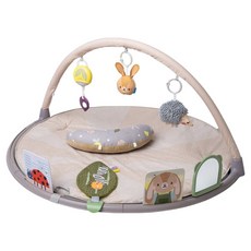 taf toys Urban Garden 活動健身架 寶寶體育館, 混合顏色, 1個