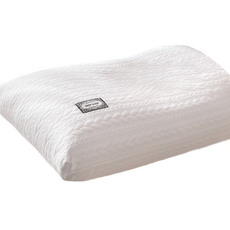 Smile Ggabi 各種一體式風格枕芯 600g, 款式 單人 H, 1個