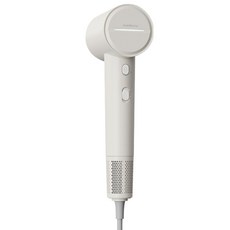 카렉스 초고출력 플라즈마 BLDC 저소음 헤어 드라이어 1600W, 베이지, DR-01