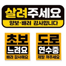 제제데코 초보운전 차량 스티커 고휘도 반사 탈부착 자석 + 리무버블 스티커 2종 세트 초보용, 008, 1세트