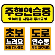제제데코 초보운전 차량 스티커 고휘도 반사 탈부착 자석 + 리무버블 스티커 2종 세트 초보용, 006, 1세트