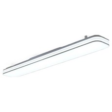 오프비트 LED 주방등 50W 6500K, 화이트 + 주광색