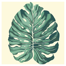 DCLARE DIY 油畫繪畫 20 x 20 cm, 22號, 1個