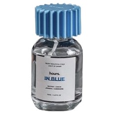 벤딕트 애트모어 하워스 차량용 규조토 방향제 150ml, 인블루, 1개