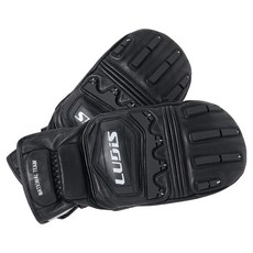 韓國 LUDiS 高山滑雪板競速連指防寒皮革手套 雙手穿戴組 LUPDUG08, BLACK, 1套