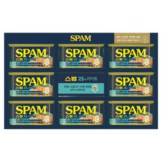 스팸 라이트 12호 세트 + 쇼핑백, 1세트