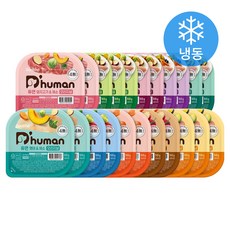 듀먼 전연령 강아지 10종 버라이어티 화식사료 50g x 22개입 세트 (냉동), 1세트