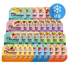 듀먼 전연령 강아지 10종 버라이어티 화식사료 50g x 32개입 세트 (냉동), 1세트 1세트