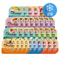 듀먼 전연령 강아지 10종 버라이어티 화식사료 100g x 32개입 세트 (냉동), 1세트 1세트