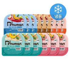 듀먼 전연령 강아지 5종 오리지널 자연 화식사료 50g x 15개입 (냉동), 오리+연어+소고기+명태+돼지+채소, 1세트