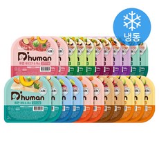 듀먼 전연령 강아지 10종 버라이어티 화식사료 100g x 22개입 세트 (냉동), 1세트