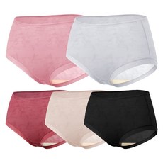 GIAT 吉亞特 輕涼柔肌蠶絲內褲加大款5件組 530928, 黑色 + 裸膚 + 酒紅 + 淺藍 + 嫩粉