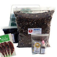 하늘e정원 적치마 상추 씨앗 3000p + 키우기 키트 세트