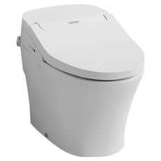 대림바스 자동물내림 일체형 양변기 DST-690 방문설치, 화이트