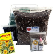 하늘e정원 해바라기 씨앗 18p + 키우기 키트 세트