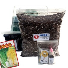 하늘e정원 배추 씨앗 100p + 키우기 키트 세트