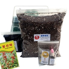 하늘e정원 봉선화 씨앗 50p + 키우기 키트 세트