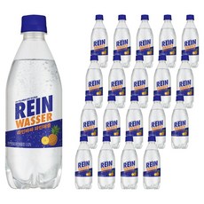 라인바싸 탄산음료 파인애플 페트, 500ml, 20개