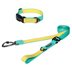 분독 반려동물 플레이 3m20cm 롱리드줄 + 오리지널 목줄 세트, 민트레몬, 1개